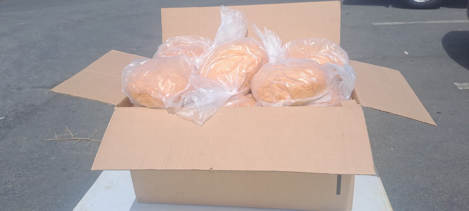 Jan Food Drive (34)